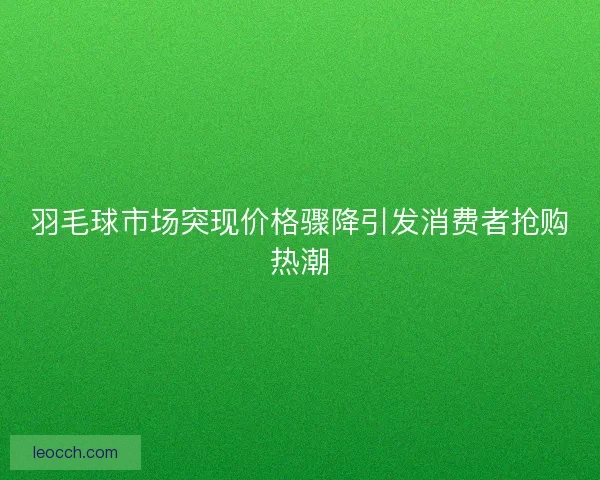 羽毛球市场突现价格骤降引发消费者抢购热潮