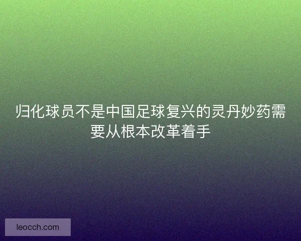 归化球员不是中国足球复兴的灵丹妙药需要从根本改革着手